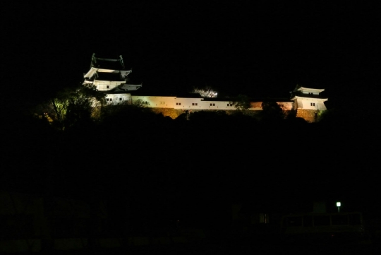 和歌山城２