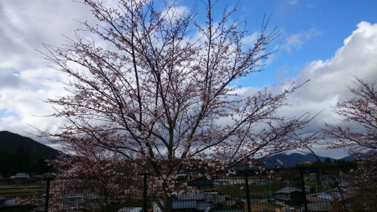 大宇陀