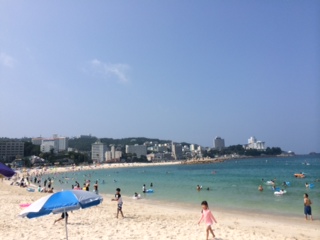 海